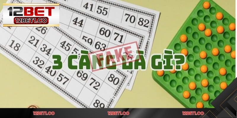Đề 3 càng là gì