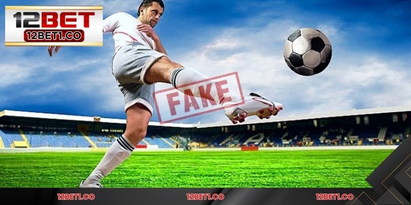 Đánh giá người dùng về trải nghiệm thể thao tại 12BET